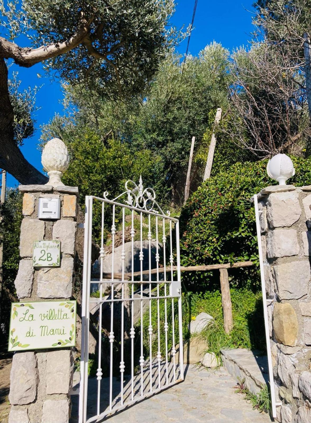 Villa Manu ماسّا لوبْرينسِ المظهر الخارجي الصورة